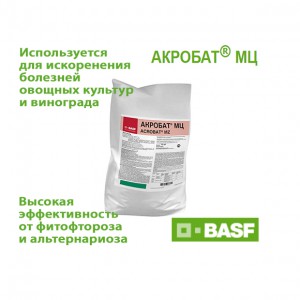 Акробат МЦ